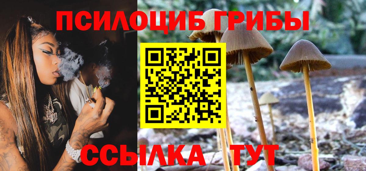 Псилоцибиновые грибы прущие грибы  Вход с VPN  Одинцово 