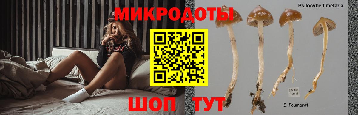 Псилоцибиновые грибы ЛСД Одинцово