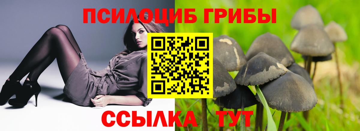 Лсд 25 Одинцово